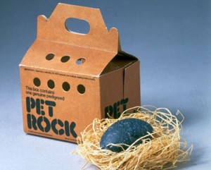 Product shot of Pet Rock, fad from mid-1970s, displayed w. its own carrying case.  (Photo by Al Freni//Time Life Pictures/Getty Images)